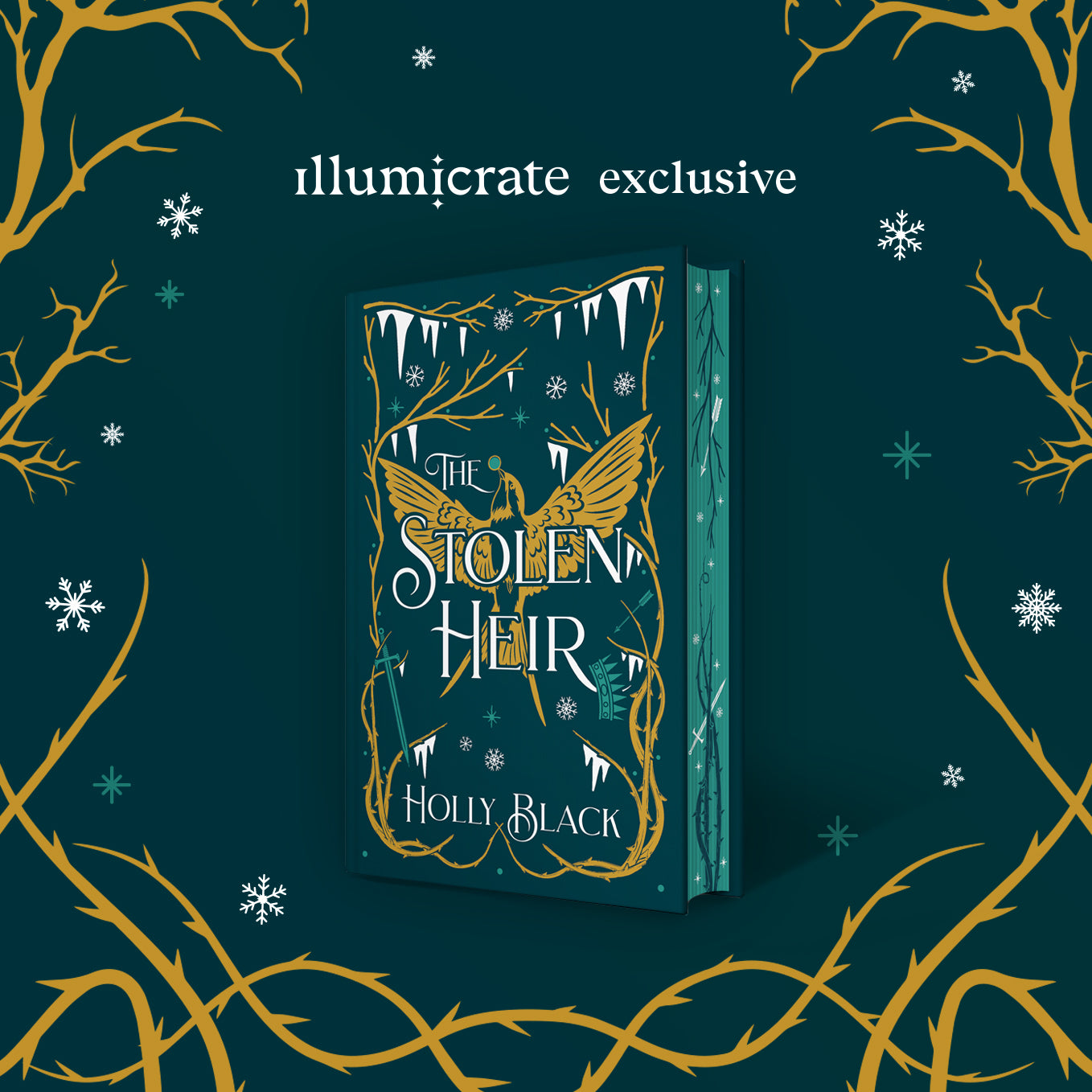 The deals Stolein Heir by Holly Black Illumicrate exclusive edition