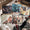 Off Campus Set by Elle Kennedy (Afterlight Exclusive) endpapers image