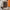 Thumbnail for After The Forest by Kell Woods DAMAGED (Illumicrate October 2023) image