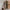 Thumbnail for After The Forest by Kell Woods DAMAGED (Illumicrate October 2023) image