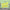 Thumbnail for March 2026 Afterlight graphic image