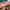 Thumbnail for Happy Ending by Chloe Liese (Afterlight 'Ruin the Friendship' Exclusive) image