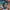 Thumbnail for Delilah Green Doesn't Care by Ashley Herring Blake (Afterlight February 2022 Exclusive Box) image