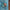 Thumbnail for The Poppy War Enamel Pin image