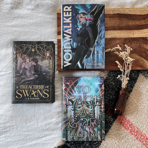 Voidwalker by S.A. Maclean, A Treachery of Swans by A.B. Poranek, To Cage A God by Elizabeth May - Intro to Romantasy Book Bundle, covers image