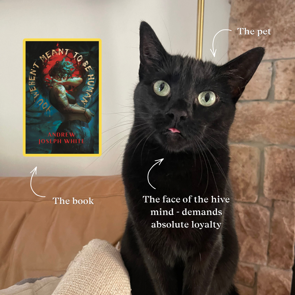 Morticia: You Weren’t Meant to Be Human by Andrew Joseph White