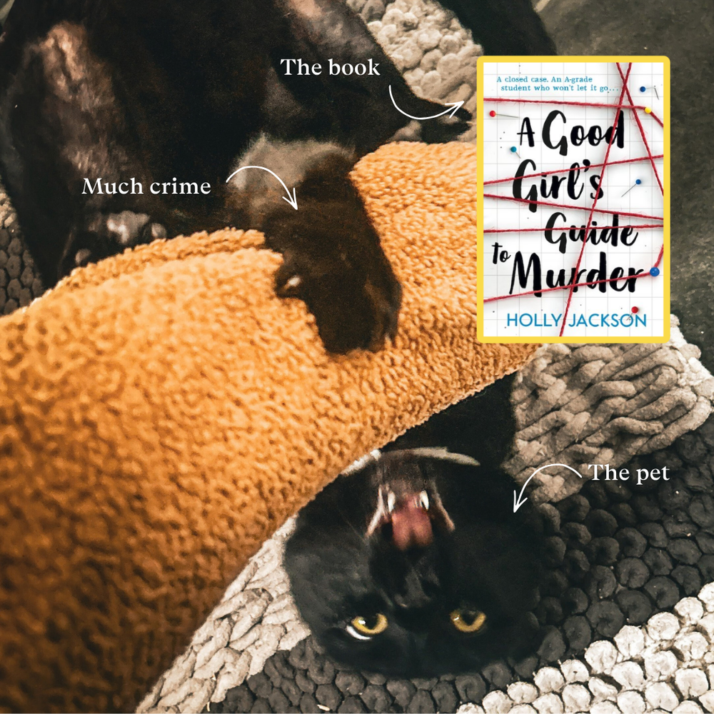 Rhys: A Good Girl’s Guide to Murder by Holly Jackson