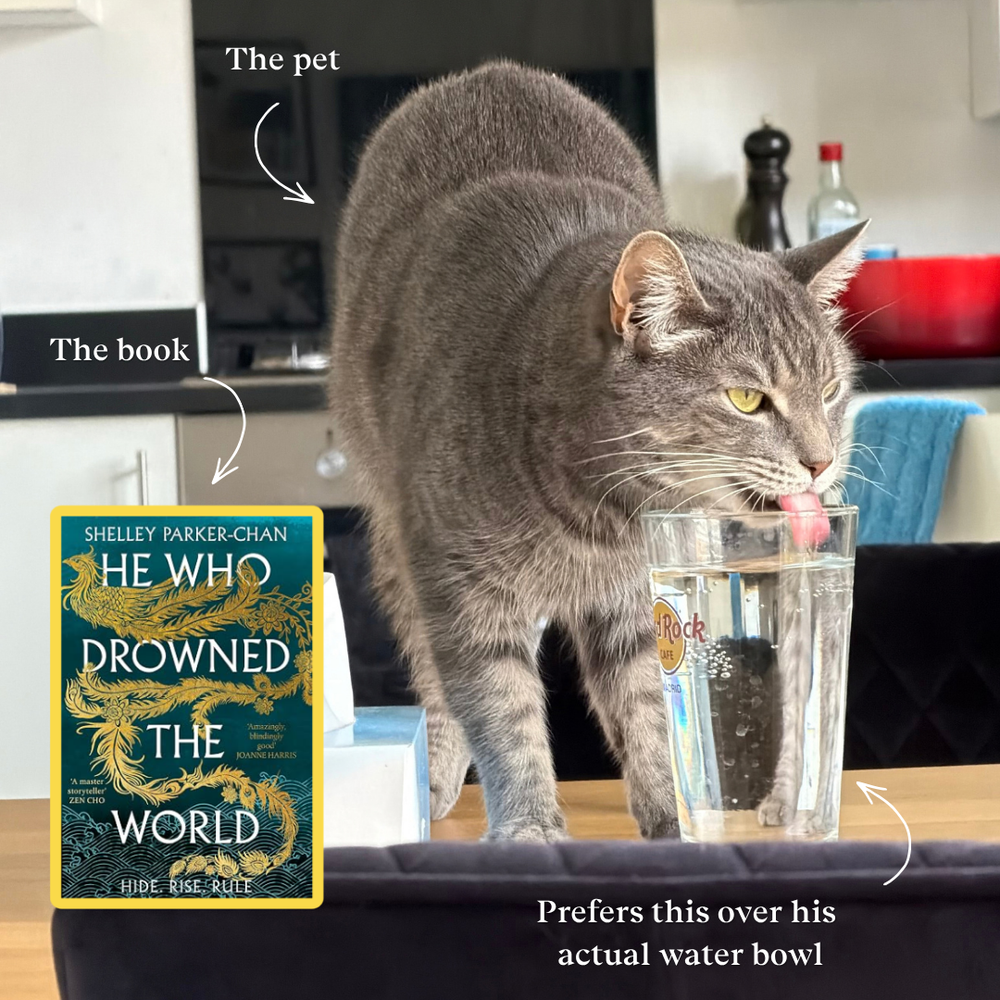 Sanyi: He Who Drowned the World by Shelley Parker-Chan