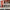 Thumbnail for Shades of Magic Acrylic Figure Set image