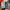 Thumbnail for Japanese Gothic by Kylie Lee Baker (Evernight April 2026 Exclusive) image