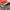 Thumbnail for Japanese Gothic by Kylie Lee Baker (Evernight April 2026 Exclusive) image