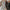 Thumbnail for The Falconer trilogy by Elizabeth May (Illumicrate Exclusive) edges image