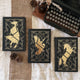 The Falconer trilogy by Elizabeth May (Illumicrate Exclusive) foiling
