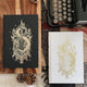 Ouroboros Duology set by H.E. Edgmon (Illumicrate Exclusive)