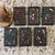 Wicked Lovely set by Melissa Marr (Illumicrate Exclusive) hardback art image