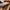 Thumbnail for Tideborn by Eliza Chan (Illumicrate Exclusive) edge image