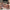 Thumbnail for Wilmot Sisters set by Chloe Liese (Afterlight Exclusive) image