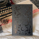 Thief of Night by Holly Black (Illumicrate Exclusive) foiling