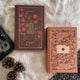 Jane Austen set (Illumicrate Exclusive) - Northanger Abbey & Sense and Sensibility