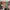 Thumbnail for Jane Austen set (Illumicrate Exclusive) back covers image