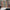 Thumbnail for Jane Austen set (Illumicrate Exclusive) spines image