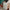 Thumbnail for Problematic Summer Romance by Ali Hazelwood (Afterlight Exclusive) foiling image