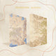 Elements of Cadence set by Rebecca Ross (Illumicrate Exclusive) hardcase mock up