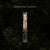 The Everlasting by Alix E. Harrow (Illumicrate Exclusive) edges image