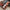 Thumbnail for Crimson Reign by Amélie Wen Zhao (Illumicrate Exclusive) image