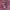 Thumbnail for Guardians of Dawn Ami Illumicrate exclusive hardcover graphic  image