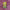 Thumbnail for Guardians of Dawn: Ami Illumicrate exclusive graphic image