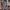 Thumbnail for A Wizard's Guide to Defensive Baking Fabric Apron image
