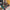 Thumbnail for Capitana by Cassandra James full box (Illumicrate 'You Made a Rebel' Exclusive) image
