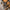Thumbnail for Descendant of the Crane by Joan He book only (Illumicrate 'Your Majesty' Exclusive) image
