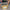 Thumbnail for A Picture of Art History Yellow Ceramic Book Pot image