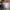 Thumbnail for A Court of Thorns and Roses Landscape Jigsaw Puzzle image