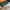 Thumbnail for Thistlemarsh by Moorea Corrigan book only (Illumicrate 'Faerie Bargains' Exclusive) image