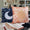 Celestial Fabric Cushion Cover Set of Two image