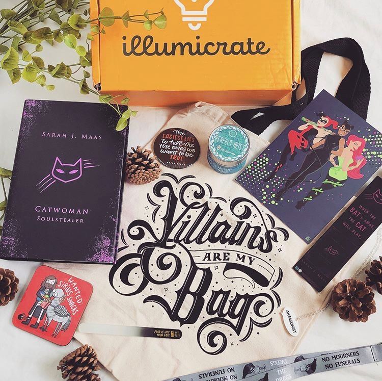 Catwoman: Soulstealer by Sarah J. Maas (Illumicrate 'Oh So Criminal' Exclusive)