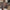 Thumbnail for Mistress of Lies by K. M. Enright book only (Illumicrate 'Look What You Made Me Do' exclusive) endpaper art image