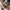 Thumbnail for Mistress of Lies by K. M. Enright book only (Illumicrate 'Look What You Made Me Do' exclusive) hardback art image