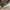 Thumbnail for The Second Death of Locke by V. L. Bovalino book only (Illumicrate 'Knightcore' Exclusive) image