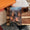 The Bookshop Below hardcase image
