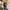 Thumbnail for The Bookshop Below December 2025 full box contents image