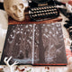 The Hunting Moon by Susan Dennard (Illumicrate Exclusive)