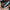Thumbnail for He Who Drowned the World by Shelley Parker-Chan (Illumicrate Exclusive) image