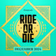 Illumicrate December 2024 'Ride or Die' theme graphic