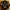 Thumbnail for Illumicrate 'Fighting Spirit' March 2021 graphic image