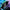 Thumbnail for August 2025 'Kill This Love' full box - single purchase image