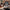 Thumbnail for Illumicrate edition of Nimona by ND Stevenson leaning against a brown cushion, next to a mug of coffee and a book stack. image